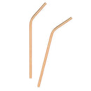 EVER CO STAINLESS STEEL STRAW