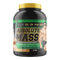 MAXS ABSOLUTE MASS