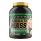 MAXS ABSOLUTE MASS